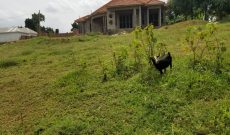 23 Decimals Plot Of Land For Sale In Nakwero Kira 80m