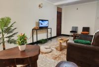 2 Bedrooms Furnished Apartments For Rent In Bukoto At $1,000 Per Month