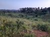 2-acres-of-land-for-sale-in-kasayi-bukerere-at-140m-per-acre