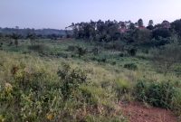 2 Acres Of Land For Sale In Kasayi Bukerere At 140m Per Acre