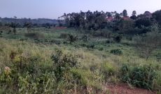 2 Acres Of Land For Sale In Kasayi Bukerere At 140m Per Acre