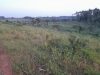 8-plots-of-land-on-114-acres-for-sale-in-kagala-bukerere-all-at-200m-shillings
