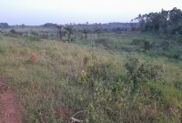 8 Plots Of Land On 1.14 Acres For Sale In Kagala Bukerere All At 200m Shillings