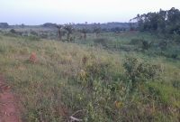 8 Plots Of Land On 1.14 Acres For Sale In Kagala Bukerere All At 200m Shillings