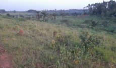 8 Plots Of Land On 1.14 Acres For Sale In Kagala Bukerere All At 200m Shillings