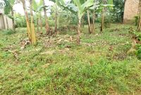 12 Decimals Plot Of Land For Sale In Kira Bulindo At 50m