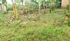 12 Decimals Plot Of Land For Sale In Kira Bulindo At 50m