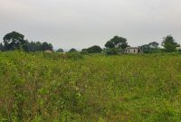 50x100ft Plots Of Land For Sale In Zziba Entebbe Road At 15m Each