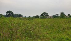 50x100ft Plots Of Land For Sale In Zziba Entebbe Road At 15m Each