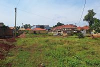 50x100ft Plot Of Land For Sale In Kira Mamerito Road At 88m