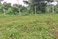 14 Decimals Plot Of Land For Sale In Kira Mulawa At 88m