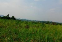 25 Acres Of Land For Sale In Bondo Arua District At 7.5m Per Acre