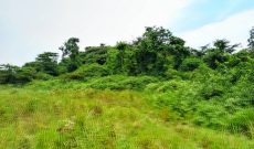 30 Acres Of Farm Land For Sale In Nebbi Kucwiny At 850,000 Shillings Per Acre