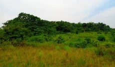 11.8 Acres Of Land For Sale In Nakasajja Gayaza Road At 85m Per Acre