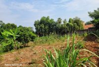 72 Decimals Plot Of Land For Sale In Bunga Kawuku 1.2 Billion Shillings