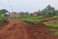 23 Decimals Plot Of Land For Sale In Kira Kitukutwe 120m