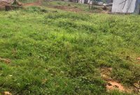 50.5 Decimals Commercial Land For Sale In Makindye Lukuli Rd 1.7Bn Shillings