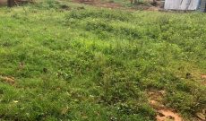 50.5 Decimals Commercial Land For Sale In Makindye Lukuli Rd 1.7Bn Shillings