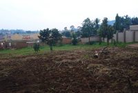 32 Decimals Plot Of Land For Sale In Bukoto At 950m