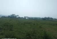 5 Square Miles Of Lake Shore Land For Sale In Mayuge At 5m Per Acre