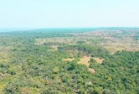 30 Square Miles of Land For Sale in Bukakata, Masaka At 2,000 USD Per Acre