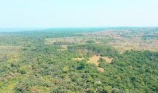 30 Square Miles of Land For Sale in Bukakata, Masaka At 2,000 USD Per Acre