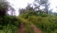 57 Acres Of Land For Sale In Nkokonjeru Nsuube Maseke At 35 Per Acre