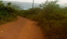 100 Acres Of Land For Sale In Zitwe Village Buikwe At 12m Per Acre