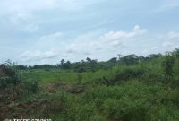 60 Acres Of Land For Sale In Kikakanya Ngogwe In Buikwe At 15m Per Acre