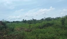 60 Acres Of Land For Sale In Kikakanya Ngogwe In Buikwe At 15m Per Acre