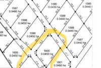 3 Plots Of 50x100ft Of Land For Sale In Busukuma At 35m Each Sold At Once