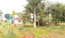 1 Acre Lake View Land For Sale In Buwaya Entebbe With 2 Bedroom House At 330m