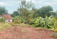 22 Decimals Land for Sale in Entebbe At 350m Uganda Shillings