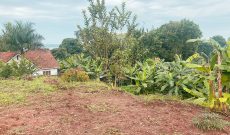 22 Decimals Land for Sale in Entebbe At 350m Uganda Shillings