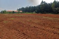 50x100ft Plots Of Land For Sale In Kira Kitukutwe At 65m Per Plot