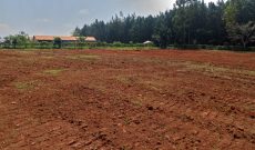 50x100ft Plots Of Land For Sale In Kira Kitukutwe At 65m Per Plot