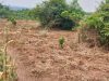 30-acres-of-land-for-sale-in-zirobwe-kamwano-5m-per-acre