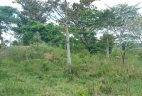 60 Acres Of Farm For Sale In Luwero Kamira At 6m Shillings Per Acre