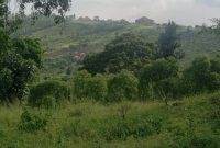 1 Acre Of Land For Sale In Nakawuka On A Hill At 125m