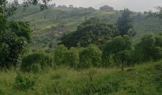 1 Acre Of Land For Sale In Nakawuka On A Hill At 125m