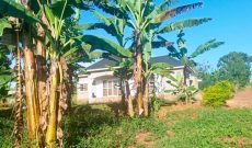 50x100ft Plot Of Land For Sale In Matugga Nasse Mukigaga At 19.5m