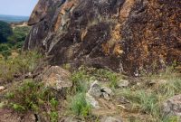 11 Acres Of Stone Quarry For Sale In Luwero At 65m Per Acre