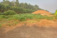 50x100ft Plots Of Land For Sale In Gayaza Kiwenda At 20m Each