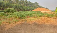 50x100ft Plots Of Land For Sale In Gayaza Kiwenda At 20m Each