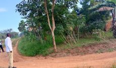 50x100ft Plot Of Land For Sale In Bujjuko Hoima Rd At 17m