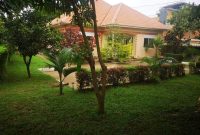 3 Bedrooms Furnished Standalone House For Rent In Muyenga $1500