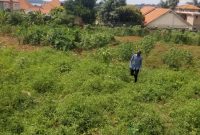 23 Decimals Plot Of Land For Sale In Muyenga Bukasa 600m