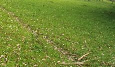 100x60ft Plot Of Land For Sale In Bunyunyi Kabale Lake Mountain View 60m