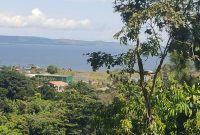 3 Acres Lake View Land For Sale In Kigo 1.3m US Dollars