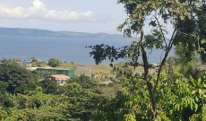 3 Acres Lake View Land For Sale In Kigo 1.3m US Dollars